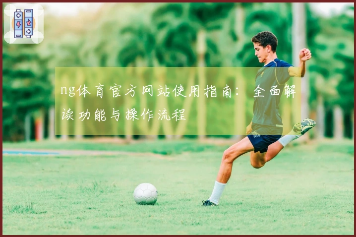 ng体育官方网站使用指南：全面解读功能与操作流程