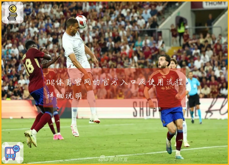 ng体育官网的官方入口及使用流程详细说明