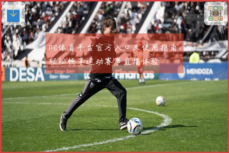 ng体育平台官方入口及使用指南，轻松畅享运动赛事直播体验