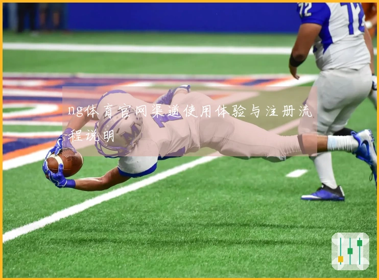 ng体育官网渠道使用体验与注册流程说明