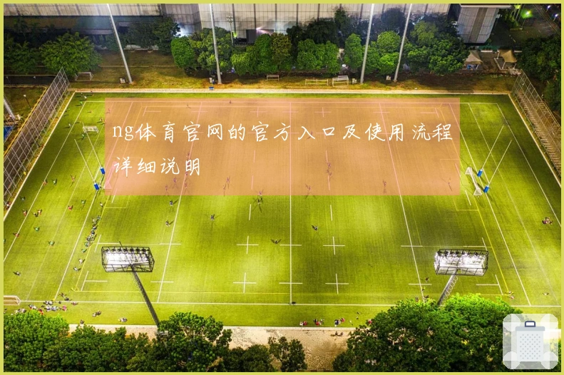 ng体育官网的官方入口及使用流程详细说明