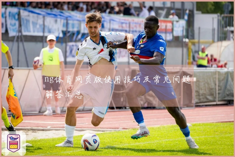 ng体育网页版使用技巧及常见问题解答汇总