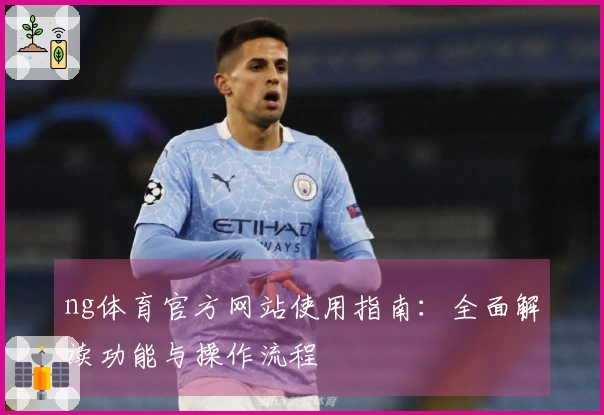 ng体育官方网站使用指南：全面解读功能与操作流程