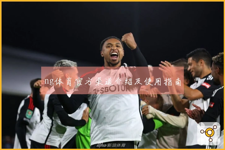 ng体育官方渠道介绍及使用指南