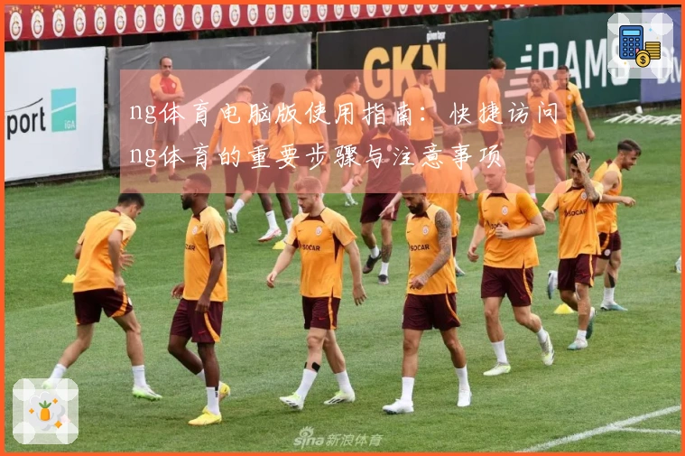 ng体育电脑版使用指南：快捷访问ng体育的重要步骤与注意事项