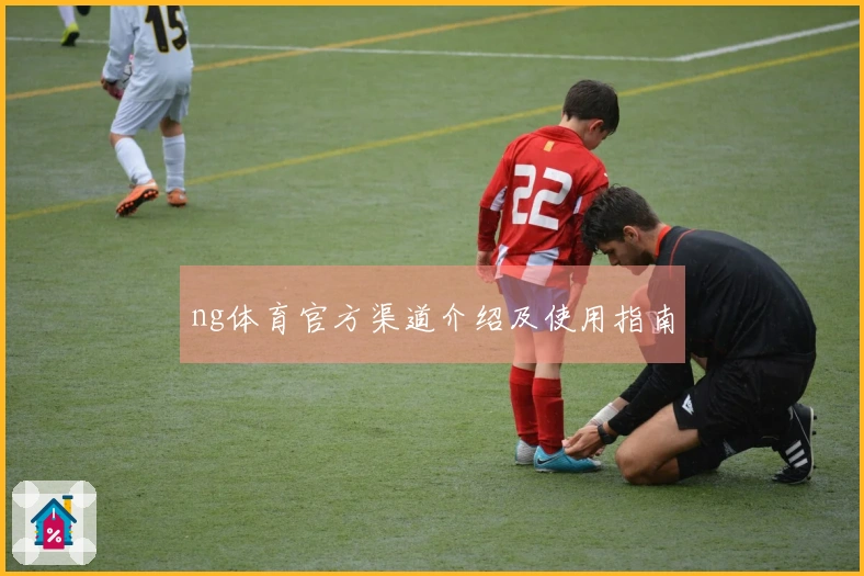 ng体育官方渠道介绍及使用指南