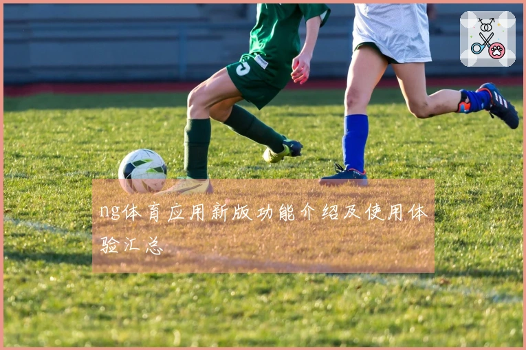 ng体育应用新版功能介绍及使用体验汇总